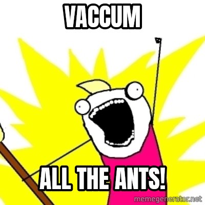 My response after looking in my pantry.