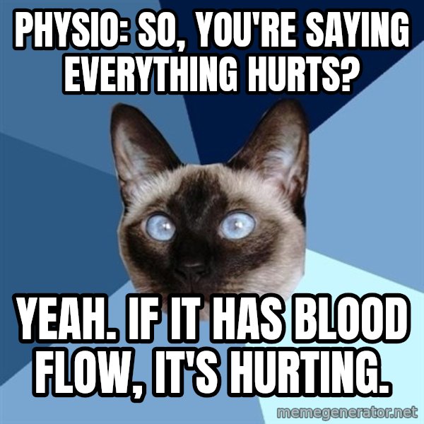 Chronic Illness Cat meme: Physio: So, you're saying everything hurts? / Yeah. If it has blood flow, it's hurting.