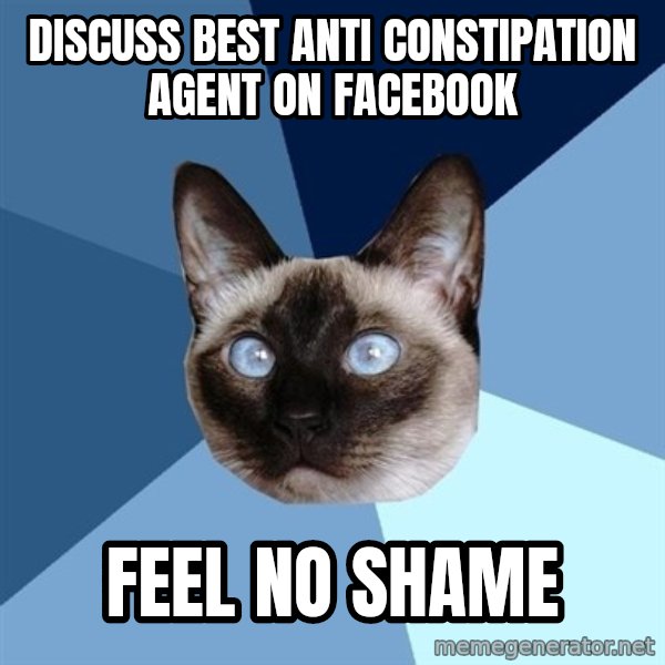 Chronic Illness Cat meme: discuss best anti constipation agent on facebook / feel no shame