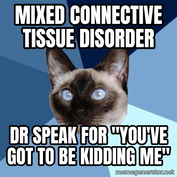 Chronic Illness Cat meme: Mixed Connective Tissue Disorder / Dr Speak for "You've Got to be Kidding me"