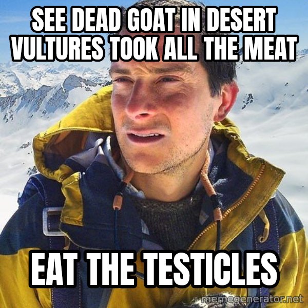 Bear Grylls meme: see dead goat in desert vultures took all the meat / eat the testicles