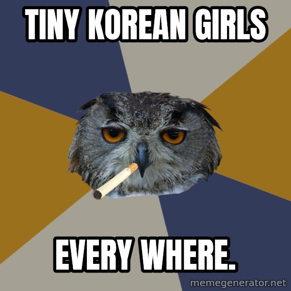 Art Student Owl meme: Tiny Korean Girls / EVERY WHERE.