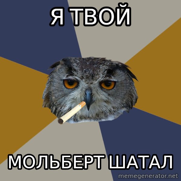 Art Student Owl meme: Я твой / МОЛЬБЕРТ шатал