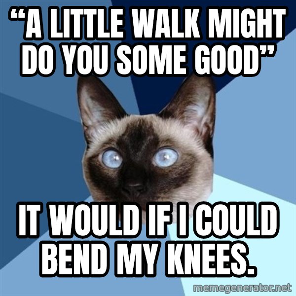Chronic Illness Cat meme: “A little walk might do you some good” / It would if I could bend my knees.