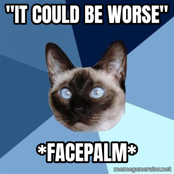 Chronic Illness Cat meme: "It Could Be Worse" / *facepalm*