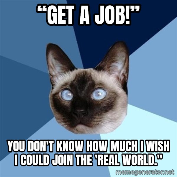 Chronic Illness Cat meme: “Get a job!” / You don't know how much I wish I could join the 'real world."