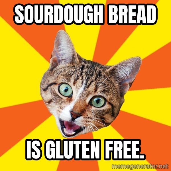 Bad Advice Cat meme: Sourdough Bread / is Gluten Free.