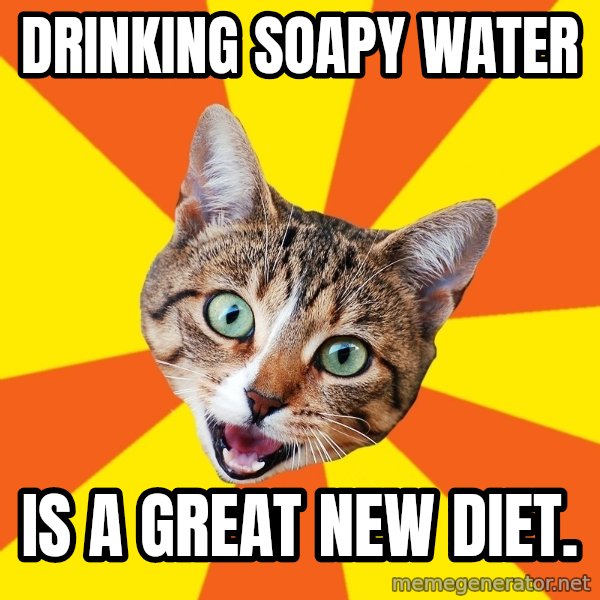 Bad Advice Cat meme: Drinking Soapy Water / is a great new Diet.