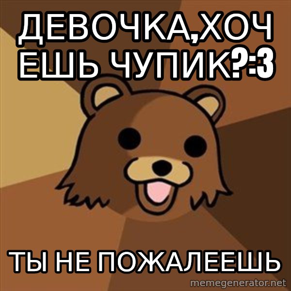Pedobear meme: Девочка,хочешь чупик?:3 / Ты не пожалеешь