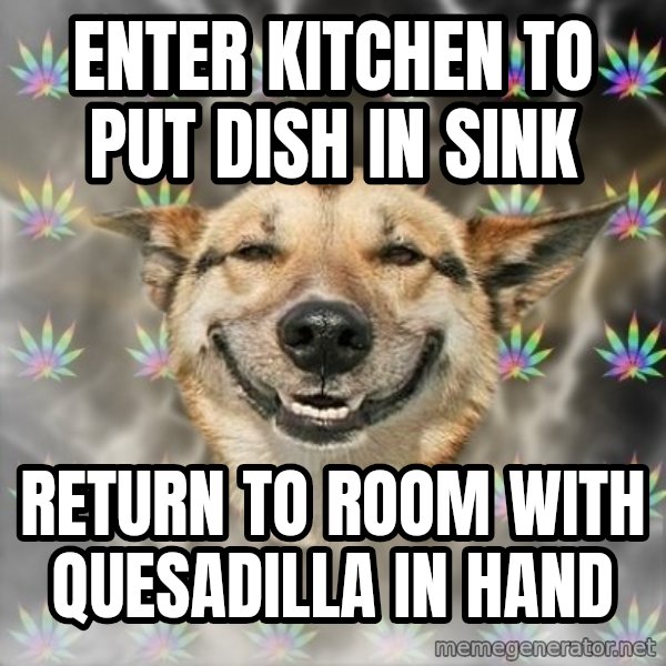 Stoner Dog meme: enter kitchen to put dish in sink / return to room with quesadilla in hand