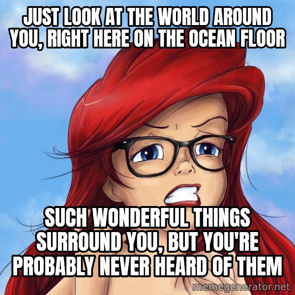 Hipster Ariel meme: just look at the world around you, right here on the ocean floor / such wonderful things surround you, but you're probably never heard of them