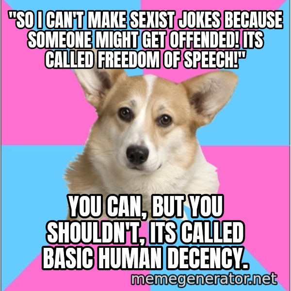 Critical Feminist Corgi meme: "so i CAN'T MAKE SEXIST JOKES BECAUSE SOMEONE MIGHT GET OFFENDED! ITS CALLED FREEDOM OF SPEECH!" / you can, but you shouldn't, its called basic human decency.