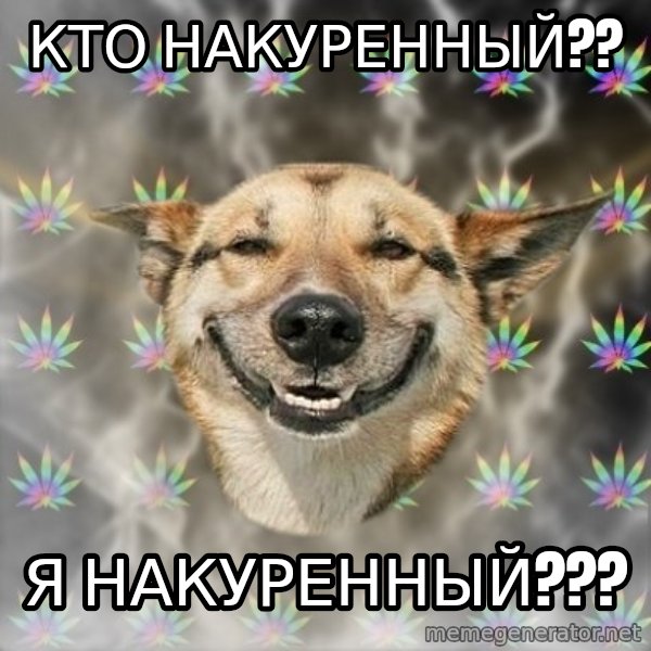 Stoner Dog meme: кто накуренный?? / я накуренный???