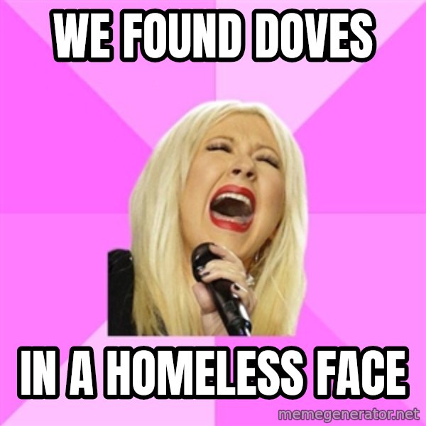 Wrong Lyrics Christina meme: WE FOUND DOVES / IN A HOMELESS FACE