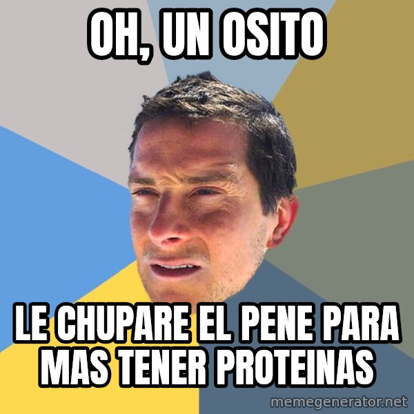 Bear Grylls meme: OH, UN OSITO / LE CHUPARE EL PENE PARA MAS TENER PROTEINAS