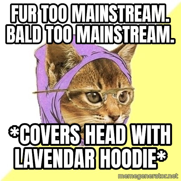 Hipster Kitty meme: fur too mainstream. bald too mainstream. / *covers head with lavendar hoodie*