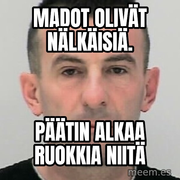 Ibrahim Shkupolli meme: madot  olivät  nälkäisiä. / päätin  alkaa   ruokkia  niitä