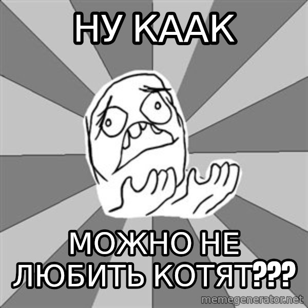 Whyyy??? meme: ну каак / можно не любить котят???