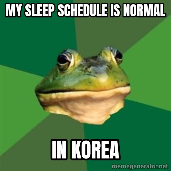 Foul Bachelor Frog meme: My sleep SCHEDULE is normal / In korea