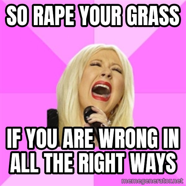 Wrong Lyrics Christina meme: So rape your grass / if you are wrong in all the right ways