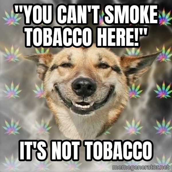 Stoner Dog meme: ''You can't smoke tobacco here!'' / it's not tobacco