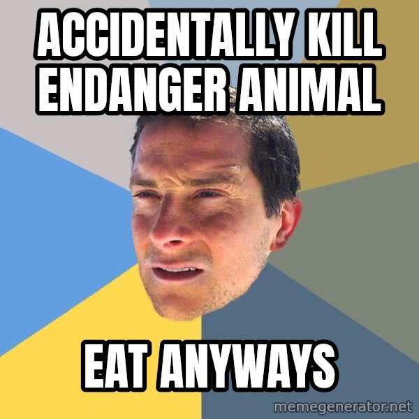 Bear Grylls meme: accidentally kill endanger animal / eat anyways