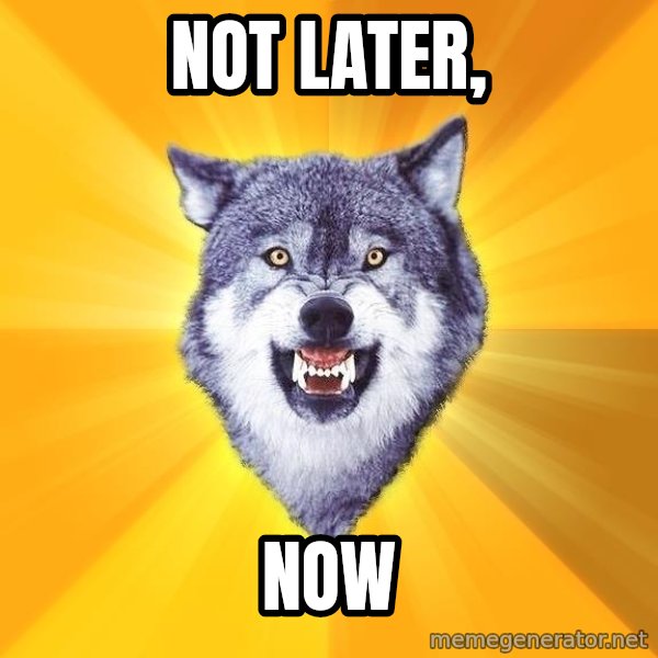 Courage Wolf meme: Not later, / now