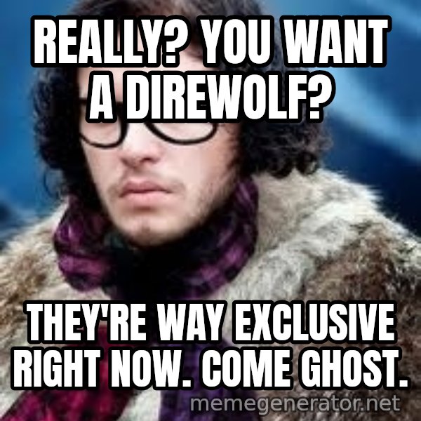 Hipster Jon Snow meme: really? you want a direwolf? / They're way exclusive right now.  Come Ghost.