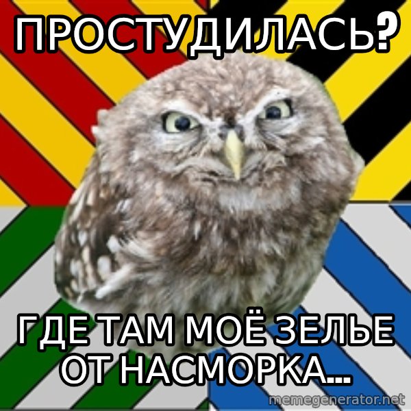 JEALOUS POTTEROMAN meme: простудилась? / Где там моё зелье от насморка...