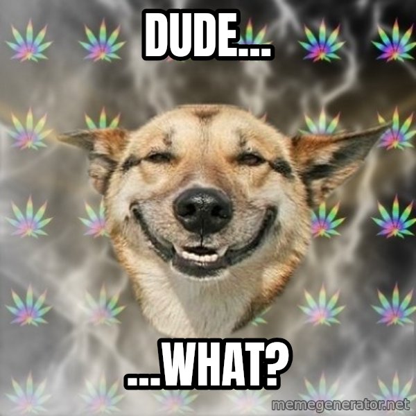 Stoner Dog meme: dude... / ...what?