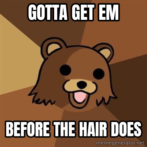 Pedobear meme: gotta get em / before the hair does