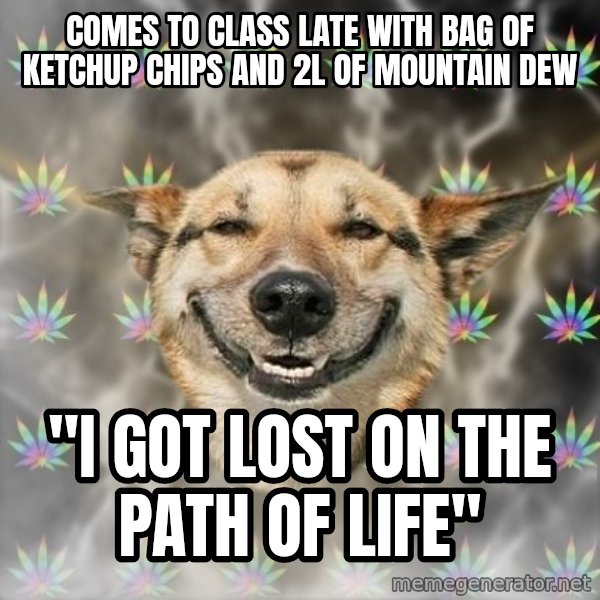 Stoner Dog meme: COMES TO CLASS LATE WITH BAG OF KETCHUP CHIPS AND 2L OF MOUNTAIN DEW / "I got lost on the path of life"