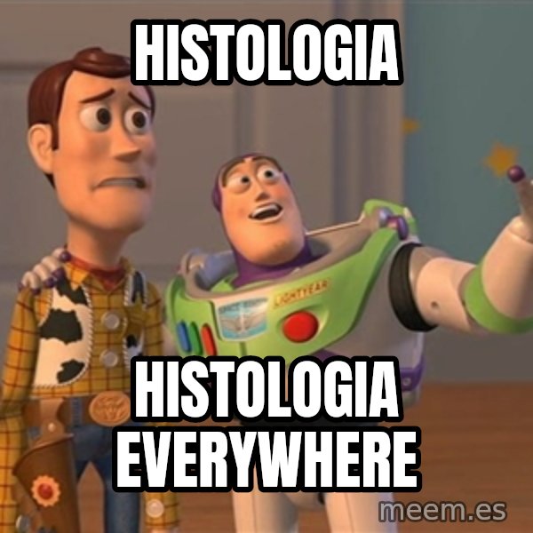 Anonymous, Anonymous Everywhere meme: Histologia / histologia everywhere