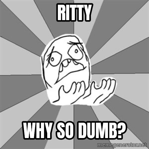 Whyyy??? meme: ritty / Why so dumb?
