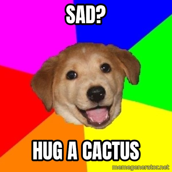 Advice Dog meme: sad? / hug a cactus