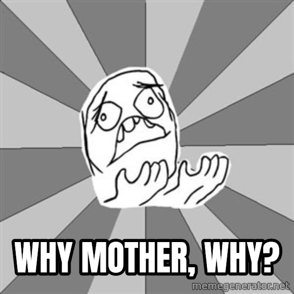 Whyyy??? meme: WHY mother, why?
