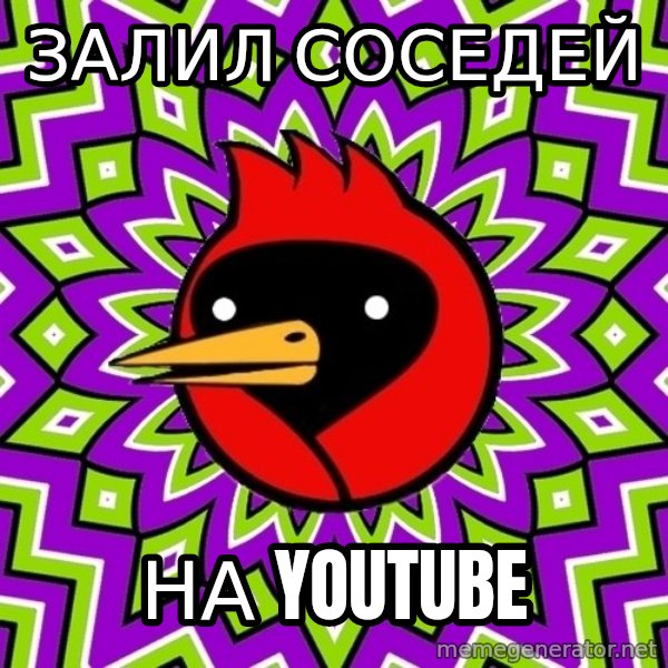Omsk Crow meme: залил соседей / на youtube