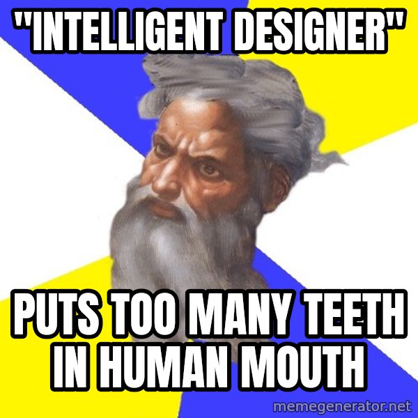 Advice God meme: "Intelligent Designer" / puts too many teeth in human mouth