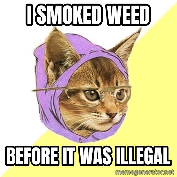 Hipster Kitty meme: i smoked weed / before it was illegal