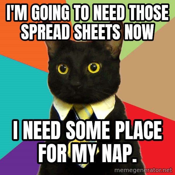 Business Cat meme: I'm going to need those spread sheets Now / I need some place for my nap.
