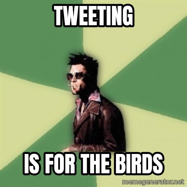 Tyler Durden meme: tweeting / is for the birds