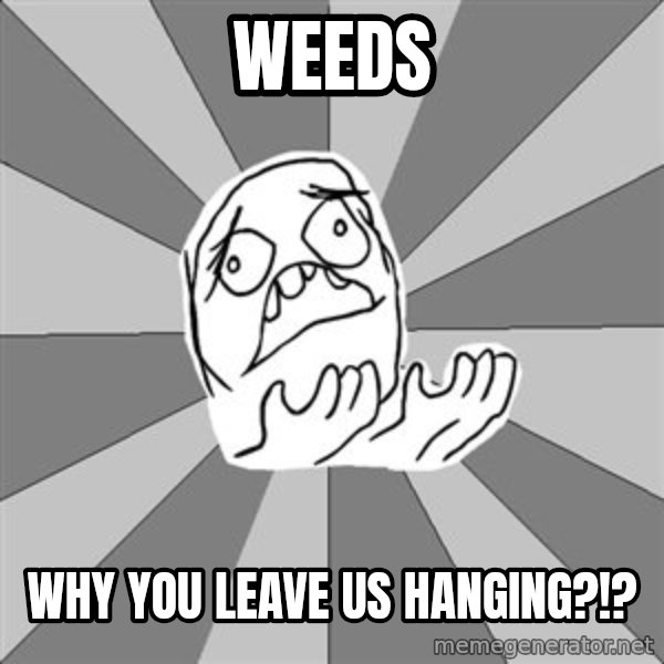 Whyyy??? meme: Weeds / Why you leave us hanging?!?