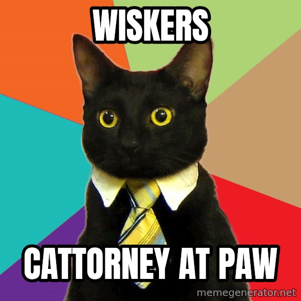 Business Cat meme: Wiskers / cattorney at paw