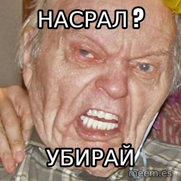Grumpy Grandpa meme: насрал ? / убирай