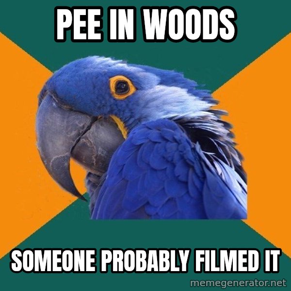 Paranoid Parrot meme: pee in woods / someone probably filmed it