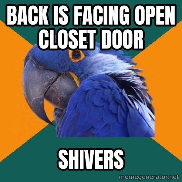 Paranoid Parrot meme: BACK IS FACING OPEN CLOSET DOOR / SHIVERS