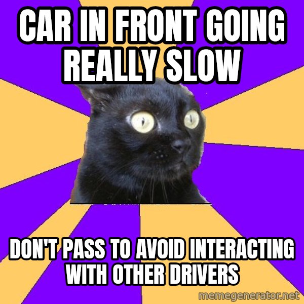 Anxiety Cat meme: car in front going really slow / don't pass to avoid interacting with other drivers