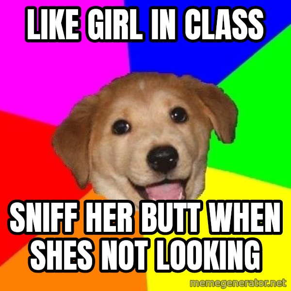 Advice Dog meme: like girl in class / sniff her butt when shes not looking