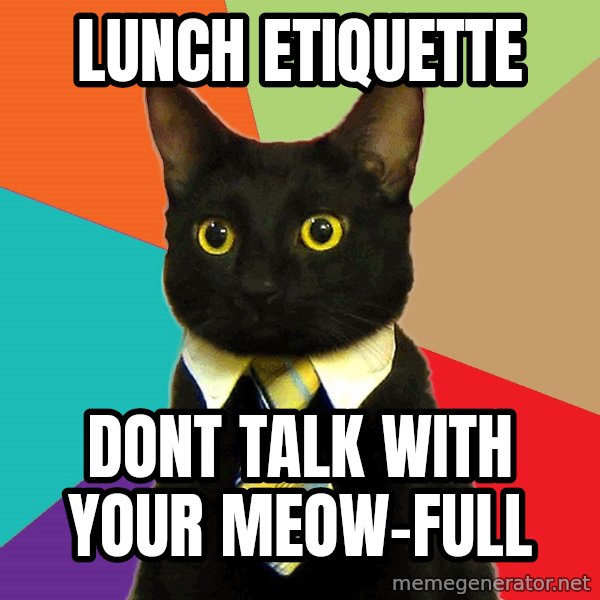 Business Cat meme: Lunch etiquette / dont talk with your meow-full
