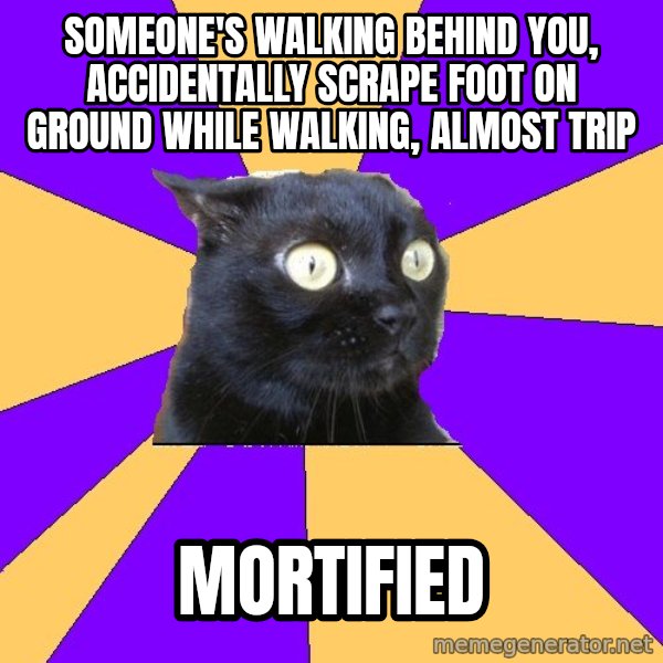 Anxiety Cat meme: SOMEONE'S WALKING BEHIND YOU, ACCIDENTALLY SCRAPE FOOT ON GROUND WHILE WALKING, ALMOST TRIP / MORTIFIED